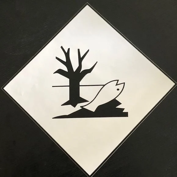 img 70331 e1621603161868